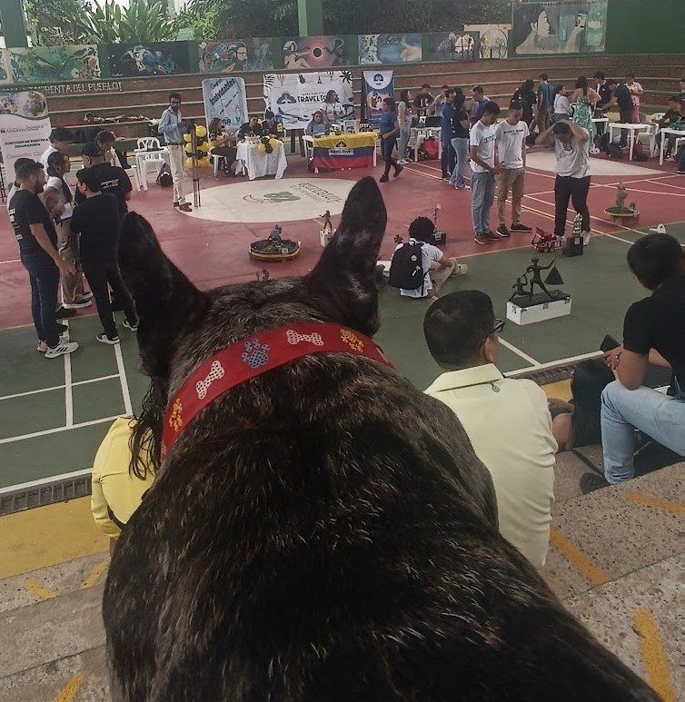 Experiencia Universidad 7